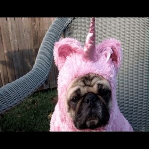 Meet your Posher, Heather